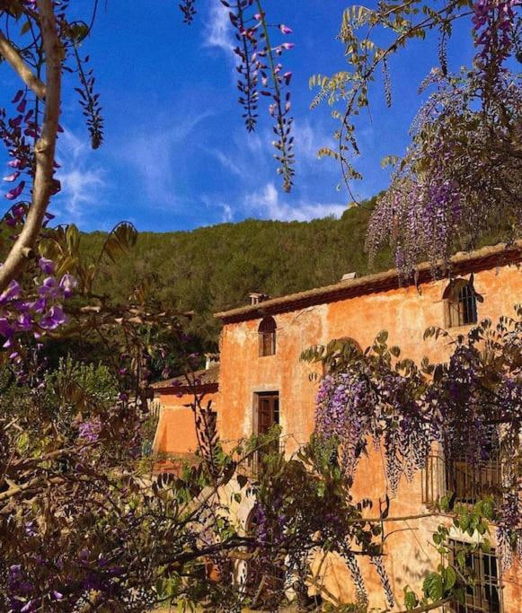 Villa Catalina Aka Villa Almanita Сант-Пере-де-Рибес Экстерьер фото